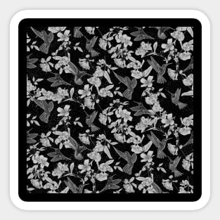 Black and White Hummingbird Paradise Sticker